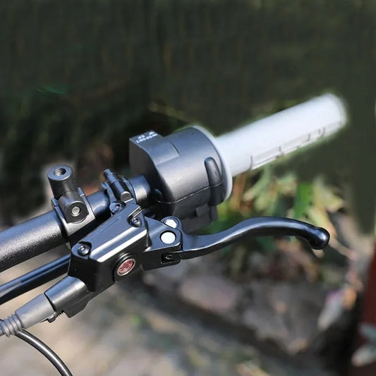 Freins Type - SurRon