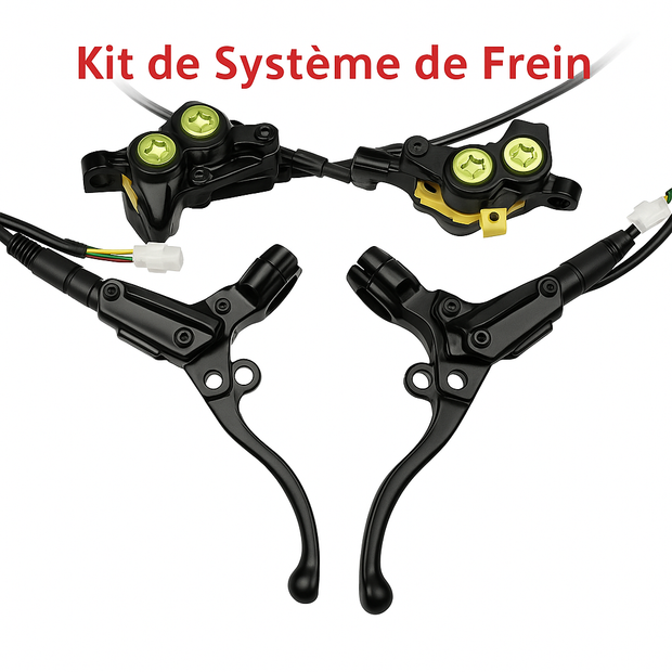 Freins Type - SurRon